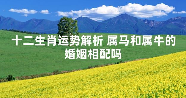 十二生肖运势解析 属马和属牛的婚姻相配吗